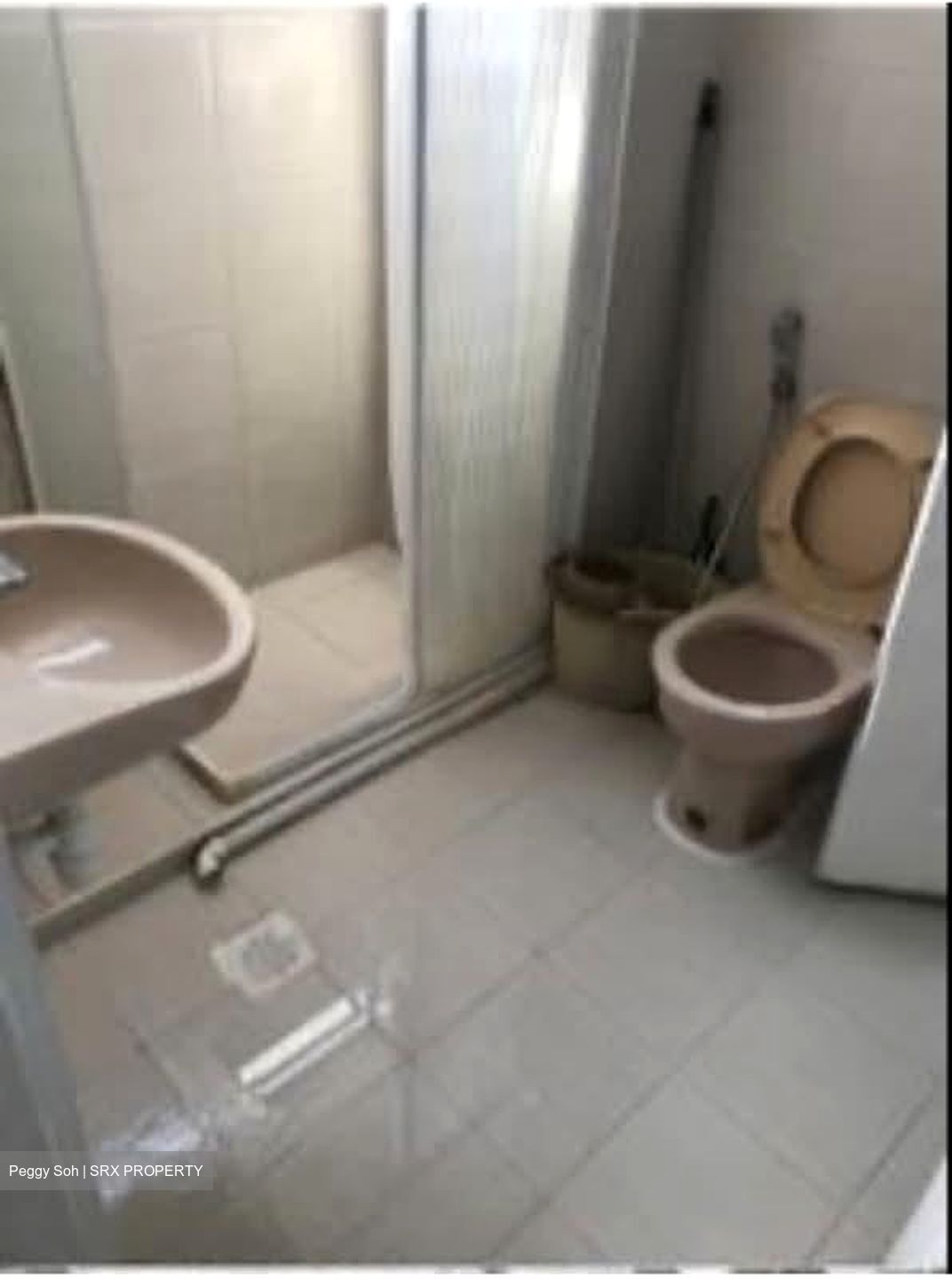 Beauty World Plaza (D21), Apartment #555302891